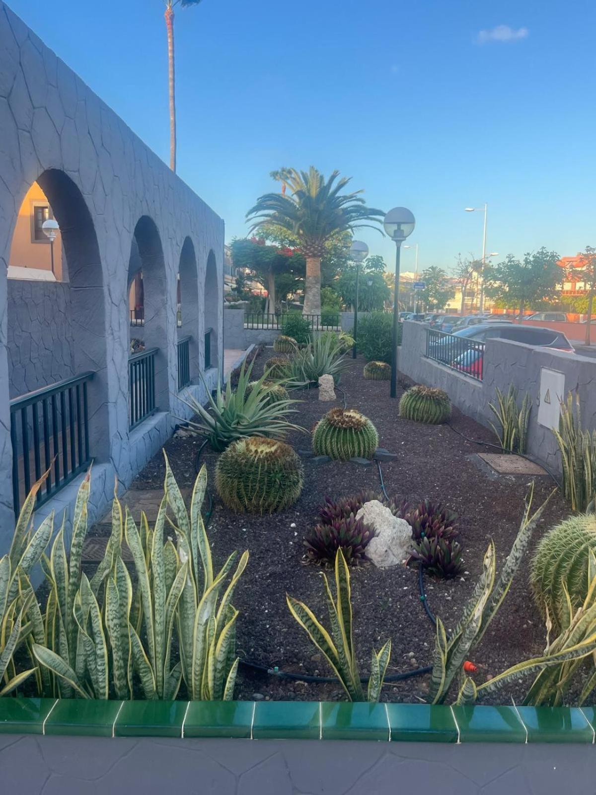 דירות קוסטה דל סילנסיו Casa Montana Amarilla 60 מראה חיצוני תמונה