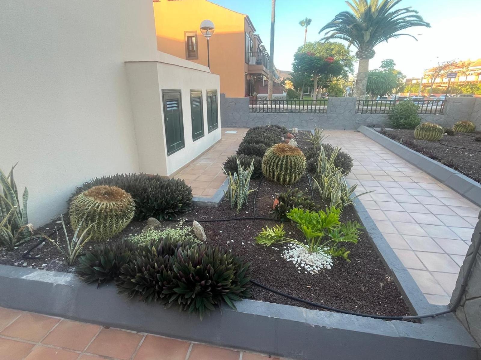 דירות קוסטה דל סילנסיו Casa Montana Amarilla 60 מראה חיצוני תמונה